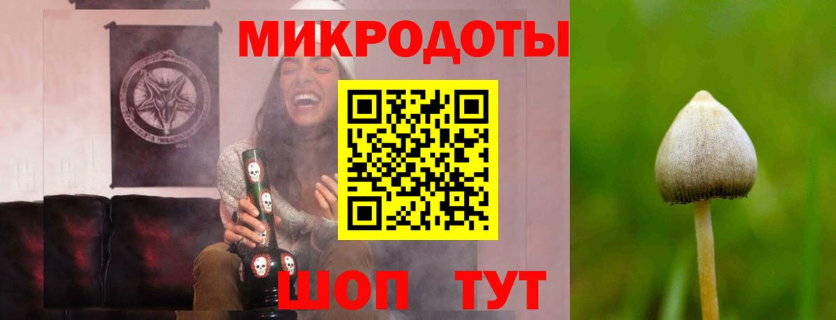 Чистополь  Псилоцибиновые грибы Magic Shrooms  Галлюциногенные грибы мицелий  Вход с VPN 